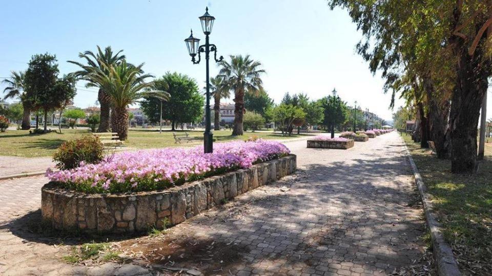 Zoi Apartments Paralia Dionisiou Exterior foto